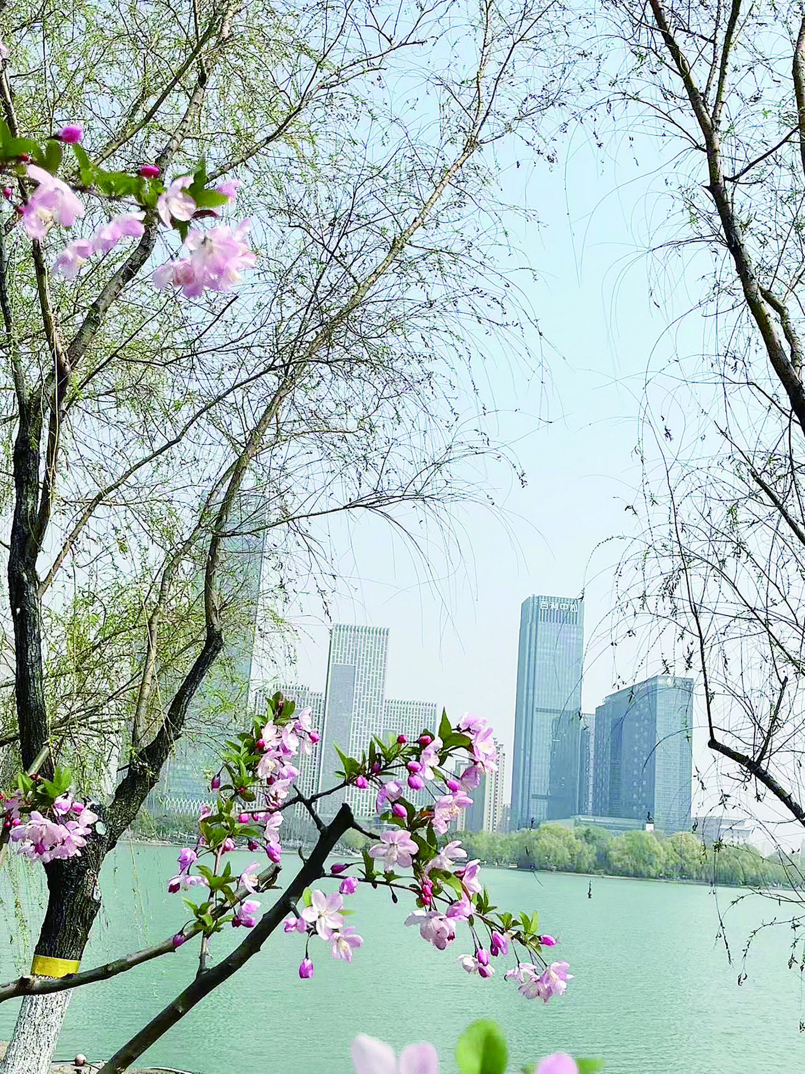 3d14ed47-8dca-481d-8530-6f556d7a8a37.jpg